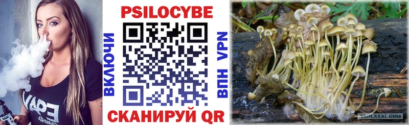 Галлюциногенные грибы мицелий  Судак 