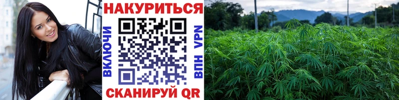 Бошки марихуана сатива купить Судак